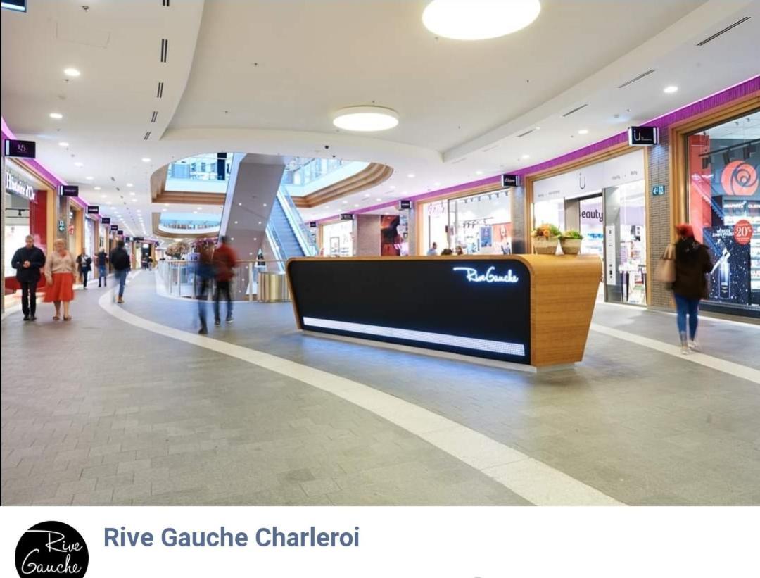 Апартаменты Le Petit Luxembourg Монтиньи-сюр-Самбр Экстерьер фото